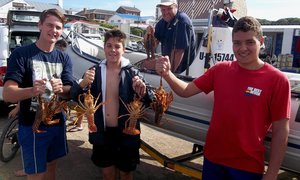 Kreef op die spyskaart